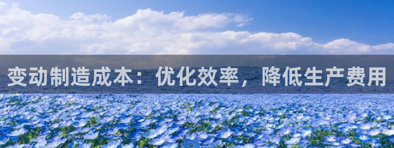 彩神是怎样一个平台赚钱的：变动制造成本：优化效率，降低生产费用