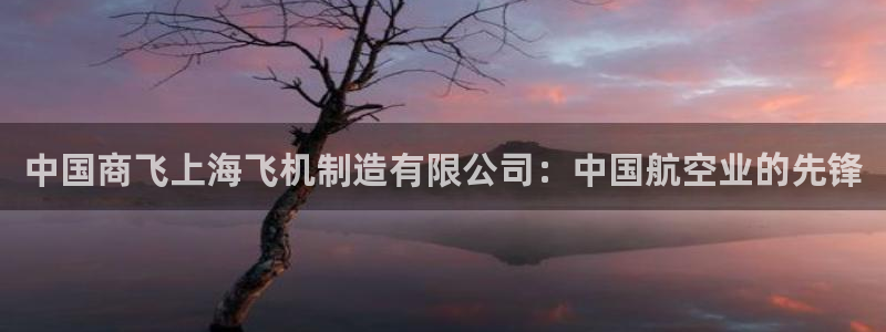 彩神平台是真的吗：中国商飞上海飞机制造有限公司：中国航空业的先锋