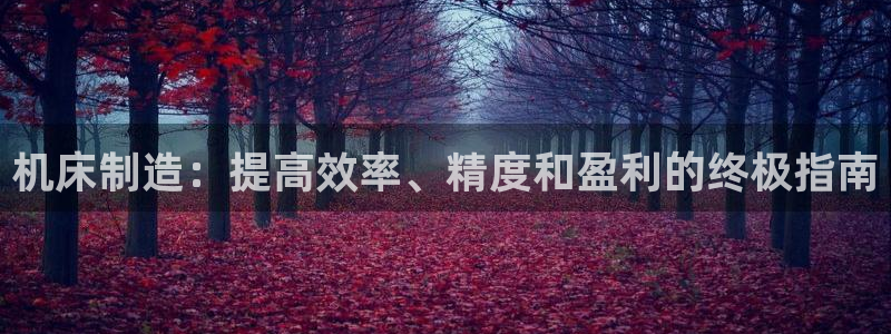 彩神争霸平台：机床制造：提高效率、精度和盈利的终极指南