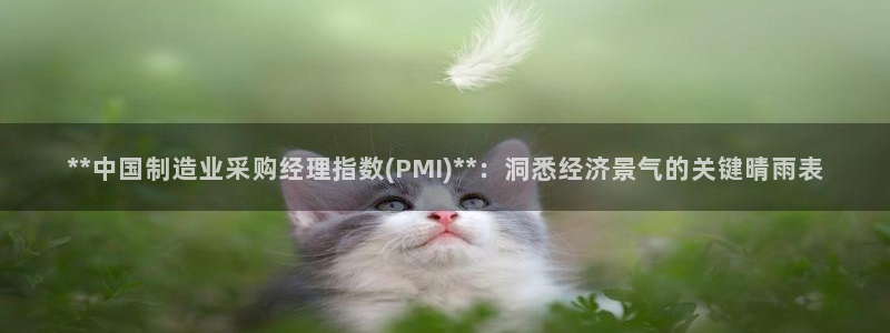 彩神购彩-购彩大厅入口娱乐首选：**中国制造业采购经理指数(PMI)**：洞悉经济景气的关键晴雨表