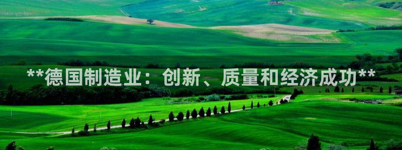 彩神iv真的能赚钱吗：**德国制造业：创新、质量和经济成功**