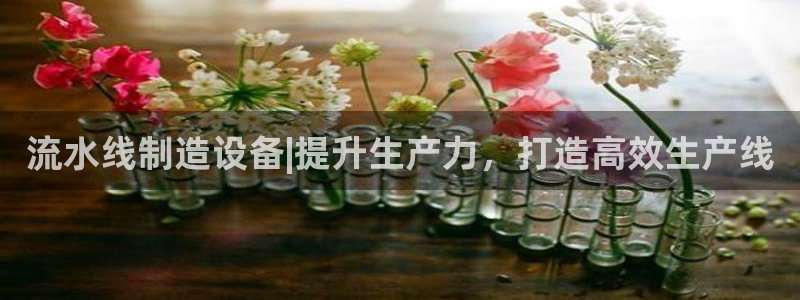彩神iv能赚钱吗：流水线制造设备|提升生产力，打造高效生产线
