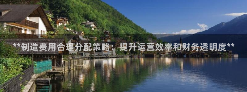 彩神vll购彩大厅：**制造费用合理分配策略：提升运营效率和财务透明度**