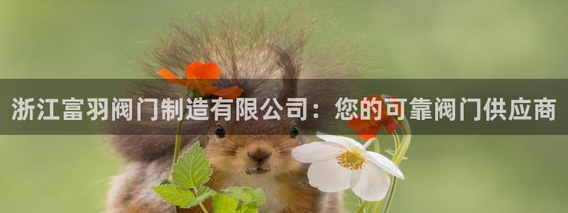 彩神购彩-购彩大厅入口娱乐首选：浙江富羽阀门制造有限公司：您