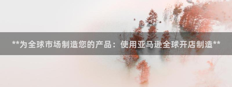 彩神赢钱了吗：**为全球市场制造您的产品：使用亚马逊全球开店