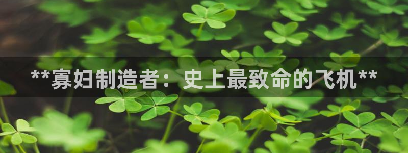 彩神赢的钱是哪里来的：**寡妇制造者：史上最致命的飞机**