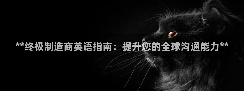彩神v8是真的挣钱吗：**终极制造商英语指南：提升您的全球沟