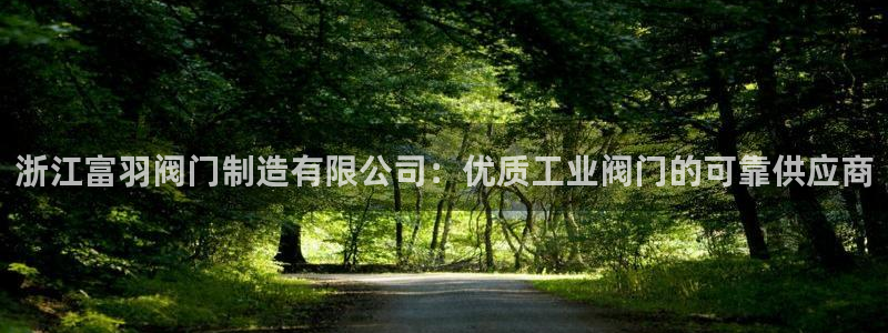 天天彩神welcome：浙江富羽阀门制造有限公司：优质工业阀门的可靠供应商