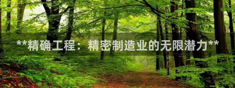 彩神8软件下载：**精确工程：精密制造业的无限潜力**