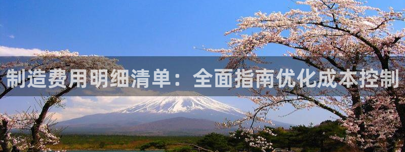彩神通官方网：制造费用明细清单：全面指南优化成本控制