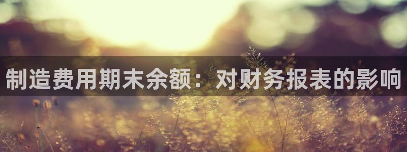 彩神v8app：制造费用期末余额：对财务报表的影响