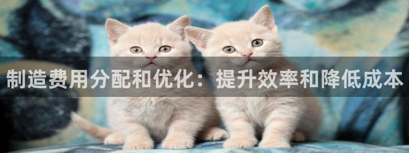 彩神vll购彩大厅大众：制造费用分配和优化：提升效率和降低成本