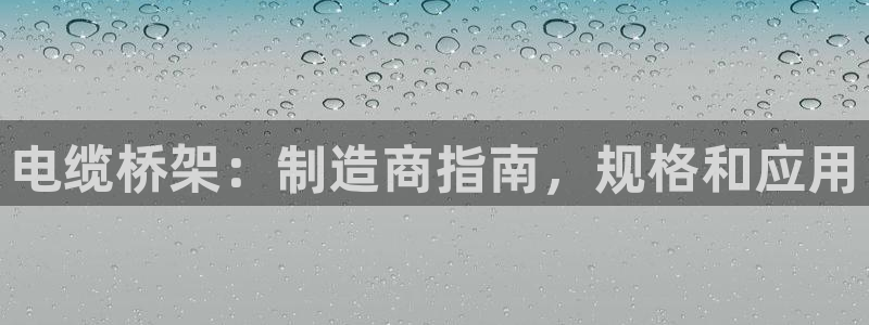 彩神v8首页：电缆桥架：制造商指南，规格和应用