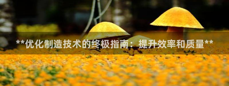 彩神v8下载app：**优化制造技术的终极指南：提升效率和质量**