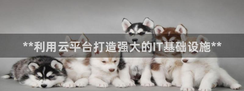 彩神v彩搜狗：**利用云平台打造强大的IT基础设施**