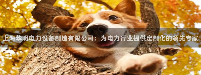 彩神8官网版：上海华明电力设备制造有限公司：为电力行业提供定制化的领先专家