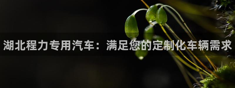 彩神v下载安装：湖北程力专用汽车：满足您的定制化车辆需求