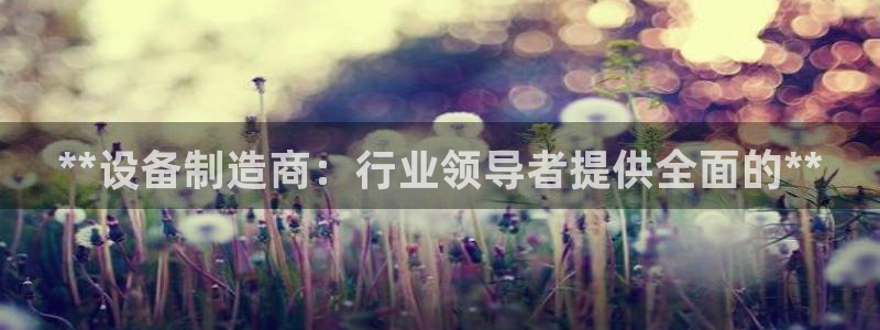 彩神争霸官网登录平台：**设备制造商：行业领导者提供全面的**