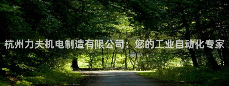 彩神v8几个版本：杭州力夫机电制造有限公司：您的工业自动化专家