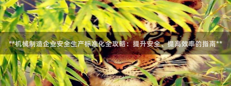 新版彩神v8登录不了：**机械制造企业安全生产标准化全攻略：