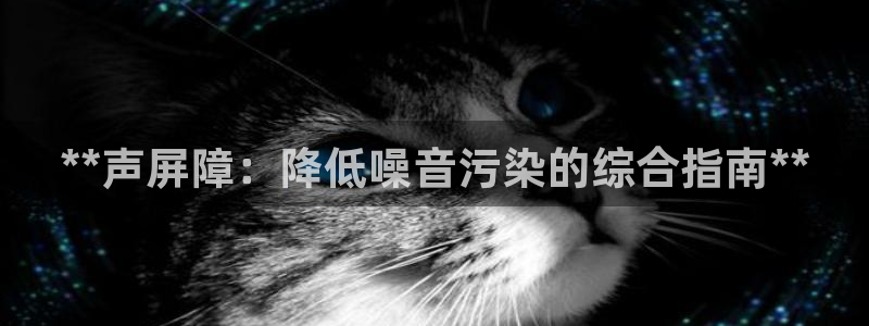新版彩神v8登录不了：**声屏障：降低噪音污染的综合指南**
