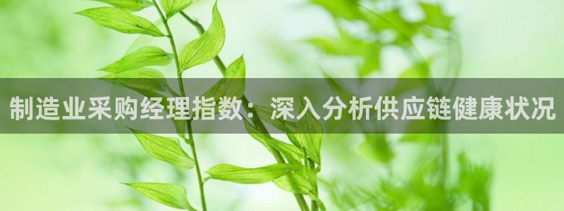 彩神正规吗：制造业采购经理指数：深入分析供应链健康状况