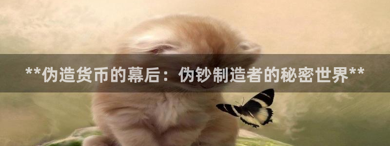 彩神v8平台正规吗知乎：**伪造货币的幕后：伪钞制造者的秘密世界**