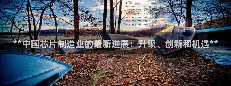 彩神v平台：**中国芯片制造业的最新进展：升级、创新和机遇**