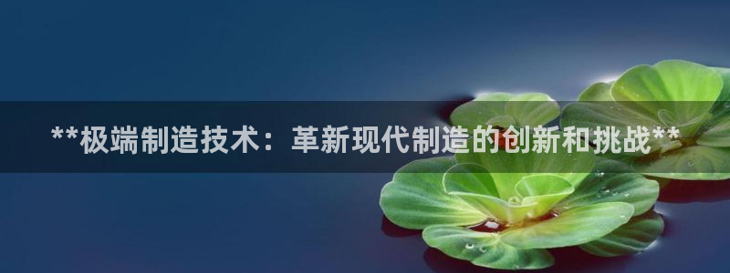 彩神怎么才能赢：**极端制造技术：革新现代制造的创新和挑战**