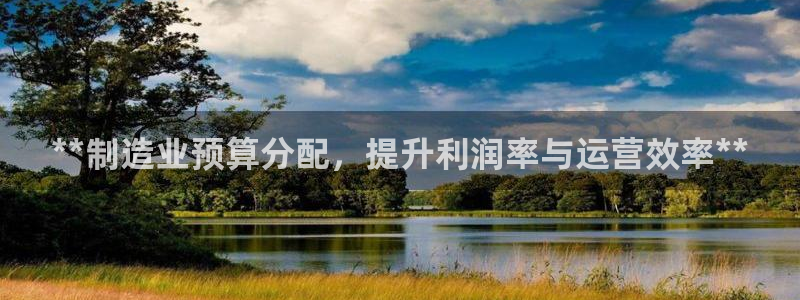 彩神v8是一个什么平台啊：**制造业预算分配，提升利润率与运营效率**