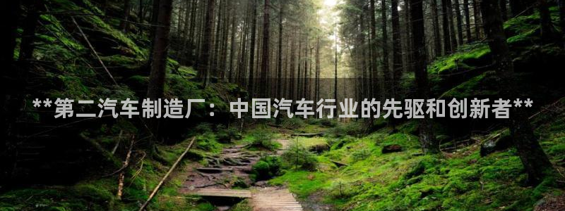 在彩神网输了六万多怎么拿回来