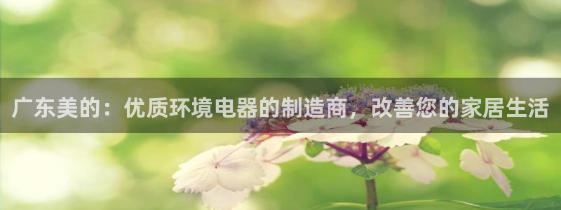 彩神vll官网-最新版app下载：广东美的：优质环境电器的制造商，改善您的家居生活