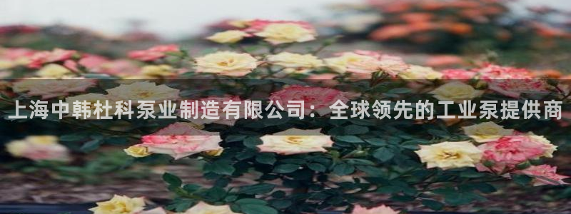 彩神v天天：上海中韩杜科泵业制造有限公司：全球领先的工业泵提供商