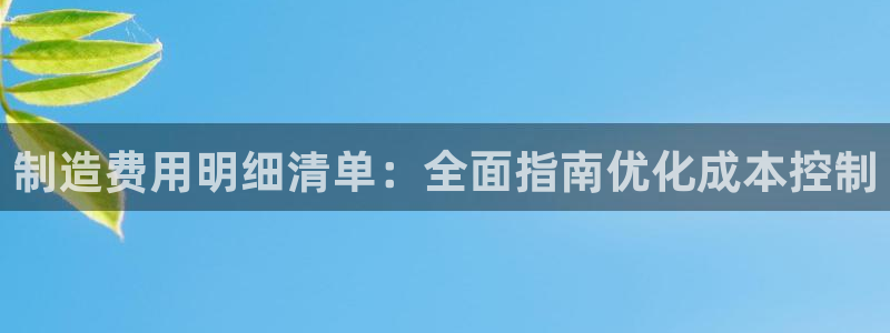 彩神是怎样一个平台赚钱的：制造费用明细清单：全面指南优化成本控制