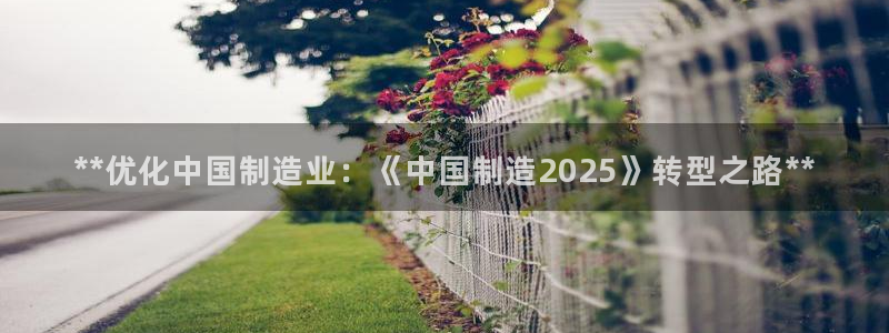 大发彩神官网下载：**优化中国制造业：《中国制造2025》转型之路**