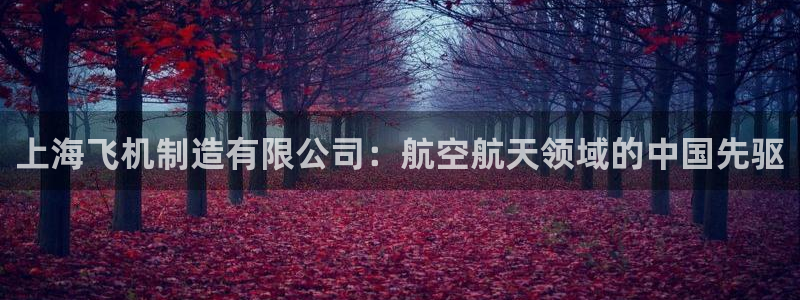 彩神大发cp：上海飞机制造有限公司：航空航天领域的中国先驱