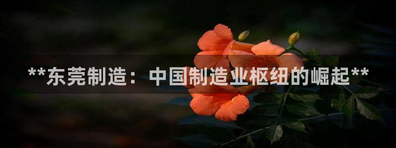 彩神购彩购彩大厅入口v：**东莞制造：中国制造业枢纽的崛起*