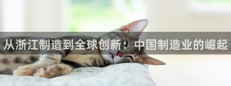 彩神天下专家专栏：从浙江制造到全球创新：中国制造业的崛起
