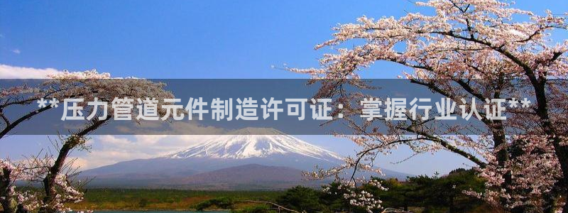 彩神8官网版：**压力管道元件制造许可证：掌握行业认证**