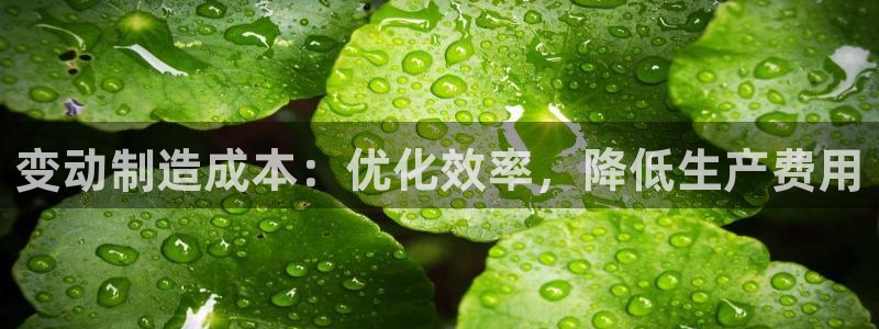 彩神V3大赢家：变动制造成本：优化效率，降低生产费用