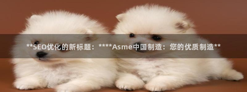 彩神8最新版下载：**SEO优化的新标题：****Asme中国制造：您的优质制造**