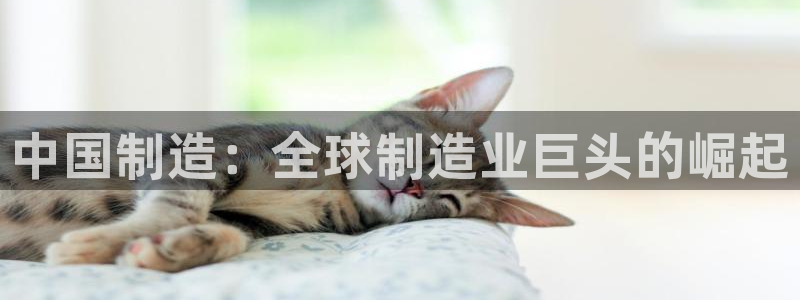 彩神争霸老平台：中国制造：全球制造业巨头的崛起