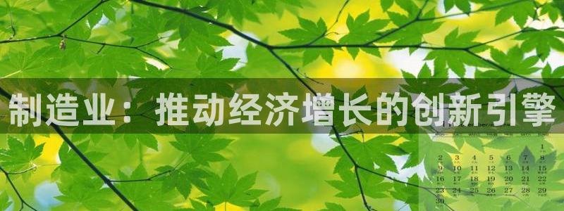 彩神邀请码:00-00-3267：制造业：推动经济增长的创新引擎