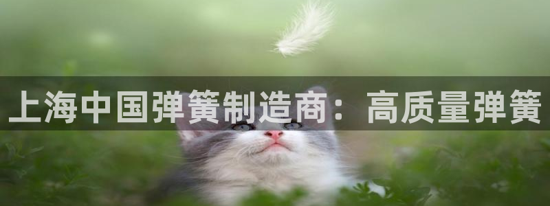 彩神赢钱了吗知乎：上海中国弹簧制造商：高质量弹簧