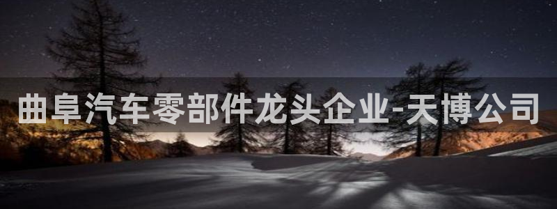 彩神ix能赚钱吗：曲阜汽车零部件龙头企业-天博公司