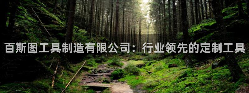 彩神vlll官网网上购彩：百斯图工具制造有限公司：行业领先的定制工具