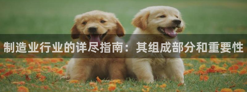 彩神v8官网版：制造业行业的详尽指南：其组成部分和重要性