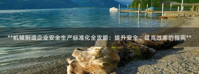 彩神vlll官方网：**机械制造企业安全生产标准化全攻略：提升安全、提高效率的指南**