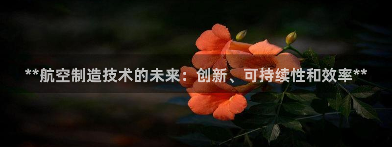 彩神iv是正规平台吗?：**航空制造技术的未来：创新、可持续性和效率**