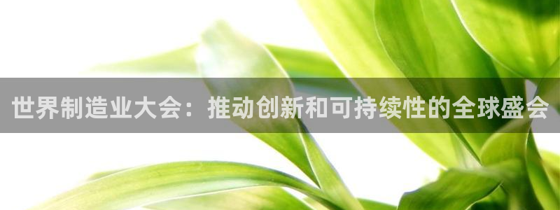 彩神平台可以破解吗：世界制造业大会：推动创新和可持续性的全球盛会